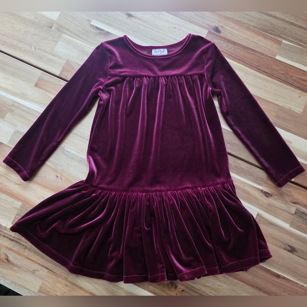 Adorable Cat & Jack Burgundy Velvet Dress